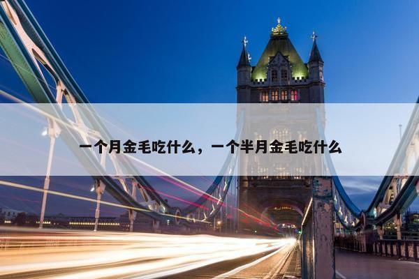 一个月金毛吃什么，一个半月金毛吃什么