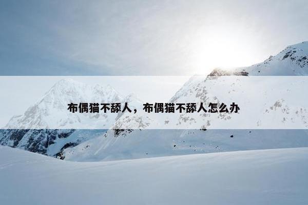布偶猫不舔人，布偶猫不舔人怎么办