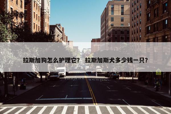 拉斯加狗怎么护理它？ 拉斯加斯犬多少钱一只？
