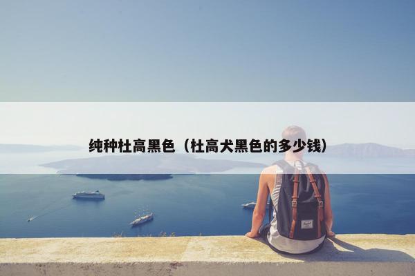 纯种杜高黑色（杜高犬黑色的多少钱）