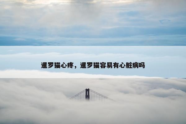 暹罗猫心疼，暹罗猫容易有心脏病吗