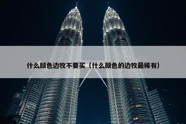 什么颜色边牧不要买（什么颜色的边牧最稀有）