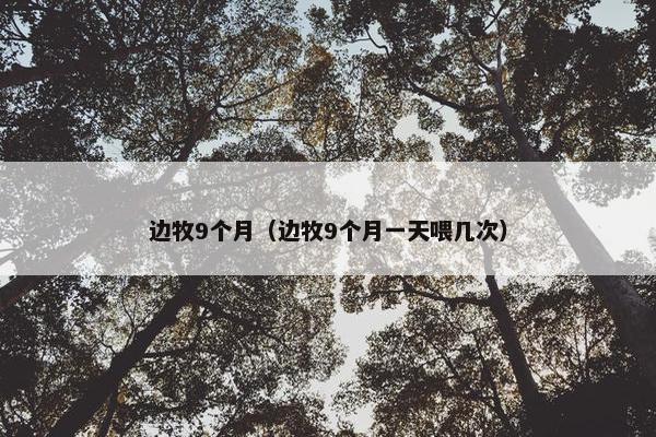 边牧9个月（边牧9个月一天喂几次）