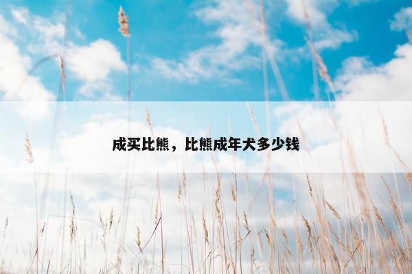 成买比熊，比熊成年犬多少钱