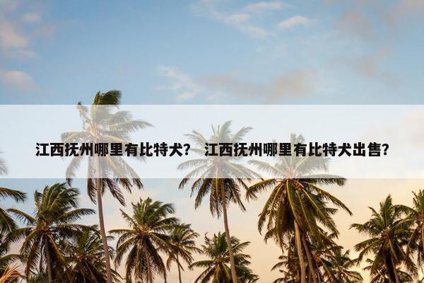 江西抚州哪里有比特犬？ 江西抚州哪里有比特犬出售？