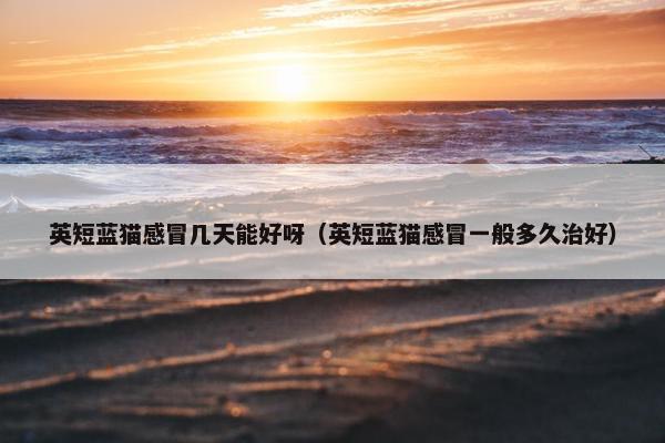 英短蓝猫感冒几天能好呀（英短蓝猫感冒一般多久治好）