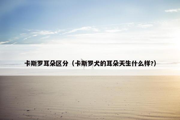 卡斯罗耳朵区分（卡斯罗犬的耳朵天生什么样?）