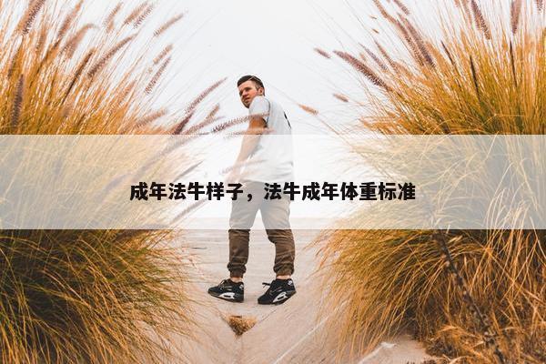成年法牛样子，法牛成年体重标准