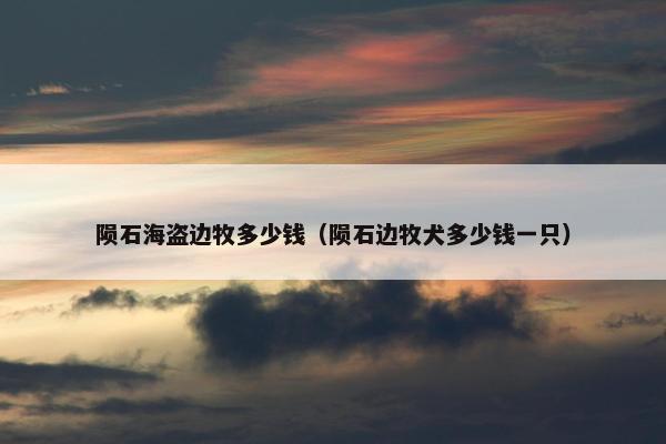 陨石海盗边牧多少钱（陨石边牧犬多少钱一只）