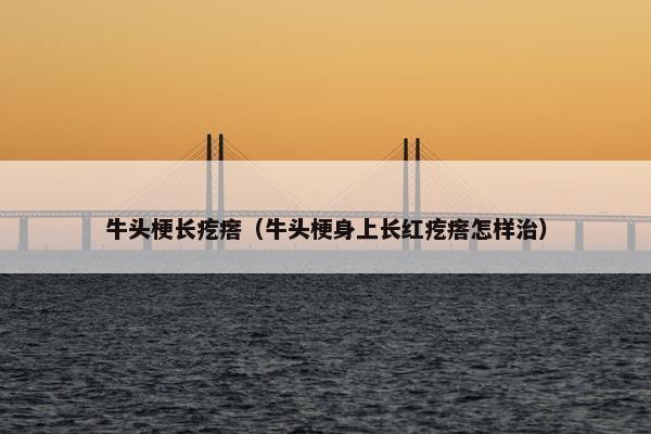 牛头梗长疙瘩（牛头梗身上长红疙瘩怎样治）