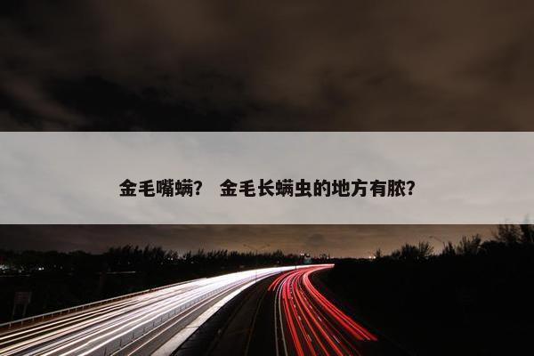 金毛嘴螨？ 金毛长螨虫的地方有脓？
