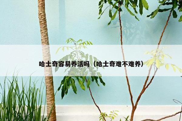 哈士奇容易养活吗（哈士奇难不难养）