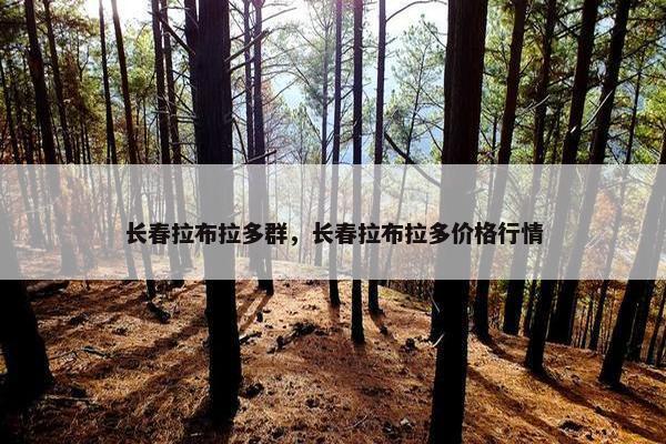 长春拉布拉多群，长春拉布拉多价格行情
