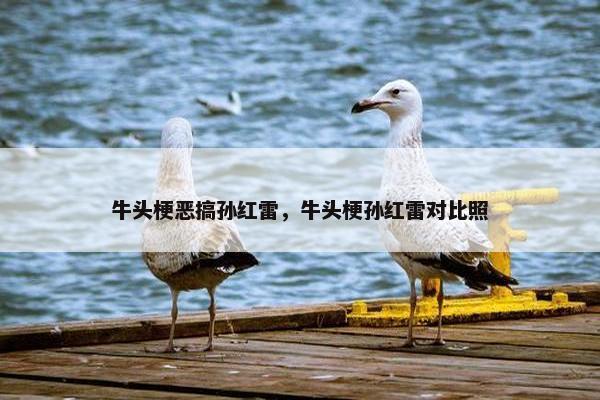 牛头梗恶搞孙红雷，牛头梗孙红雷对比照
