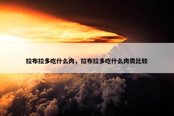 拉布拉多吃什么肉，拉布拉多吃什么肉类比较