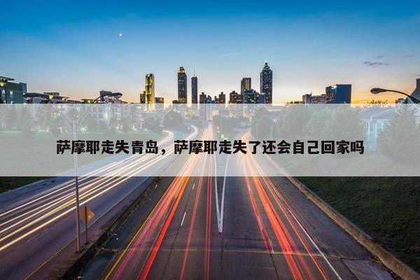 萨摩耶走失青岛，萨摩耶走失了还会自己回家吗