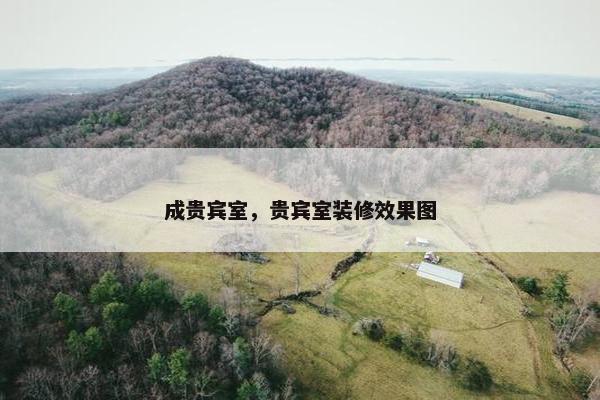 成贵宾室，贵宾室装修效果图