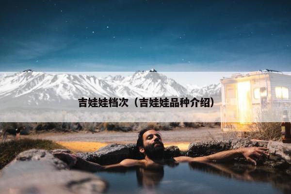 吉娃娃档次（吉娃娃品种介绍）