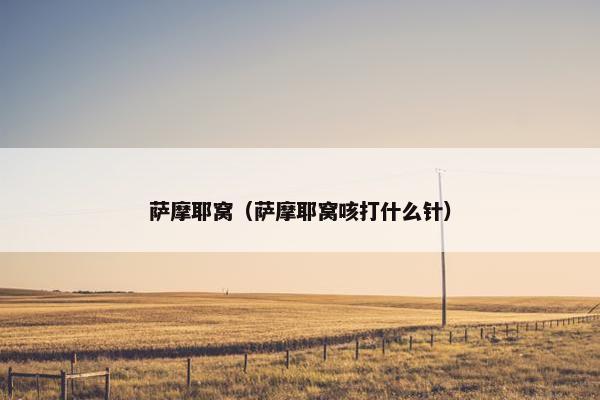 萨摩耶窝（萨摩耶窝咳打什么针）