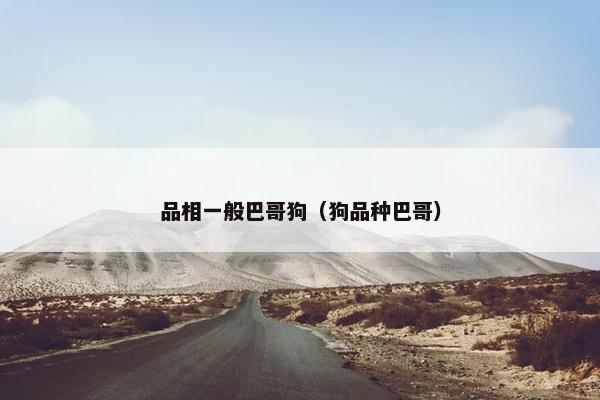 品相一般巴哥狗（狗品种巴哥）