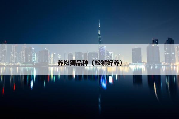 养松狮品种（松狮好养）