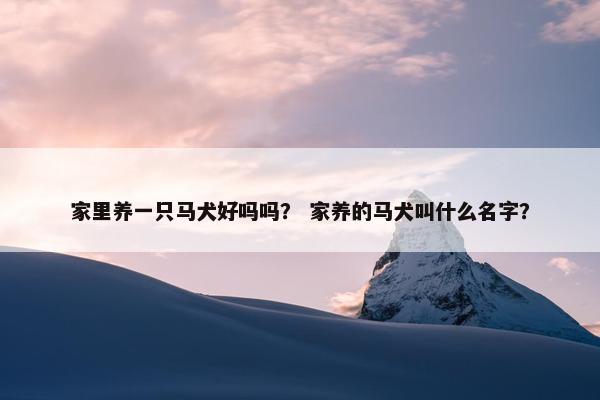 家里养一只马犬好吗吗？ 家养的马犬叫什么名字？