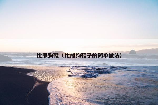 比熊狗鞋（比熊狗鞋子的简单做法）