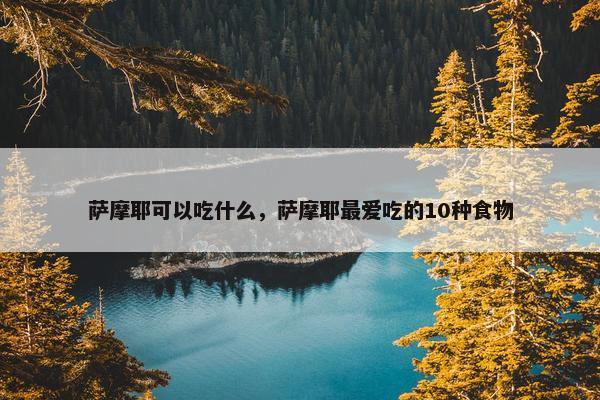 萨摩耶可以吃什么，萨摩耶最爱吃的10种食物