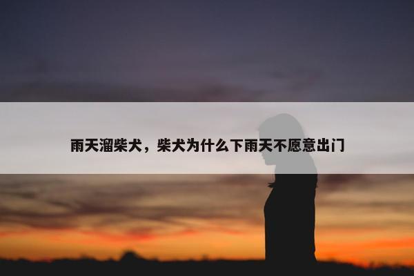 雨天溜柴犬，柴犬为什么下雨天不愿意出门