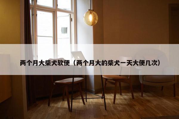 两个月大柴犬软便（两个月大的柴犬一天大便几次）
