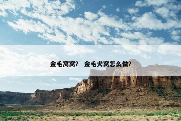 金毛窝窝？ 金毛犬窝怎么做？