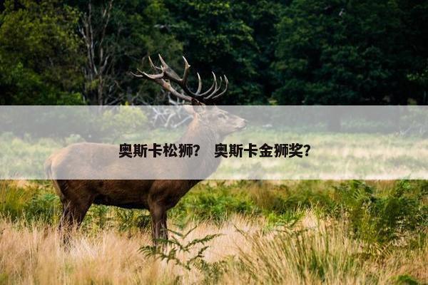 奥斯卡松狮？ 奥斯卡金狮奖？