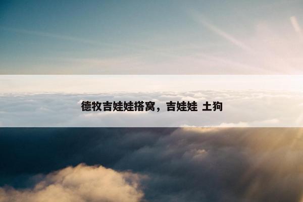 德牧吉娃娃搭窝，吉娃娃 土狗