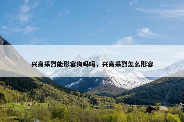 兴高采烈能形容狗吗吗，兴高采烈怎么形容