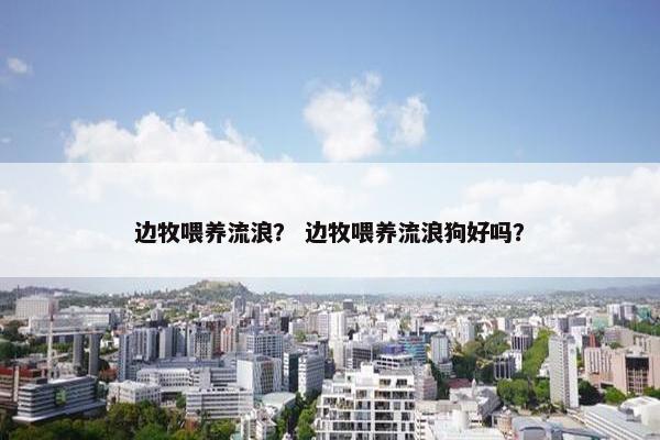 边牧喂养流浪？ 边牧喂养流浪狗好吗？