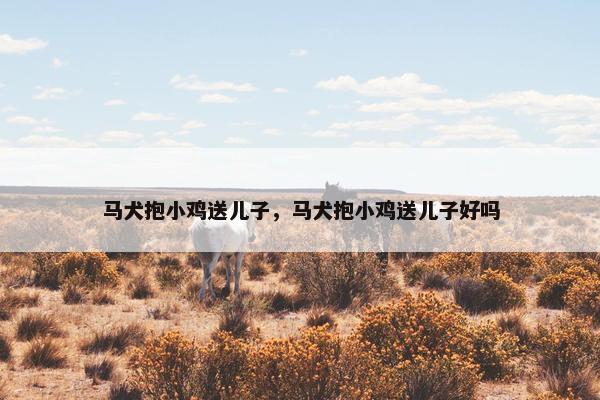 马犬抱小鸡送儿子，马犬抱小鸡送儿子好吗