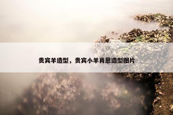 贵宾羊造型，贵宾小羊肖恩造型图片