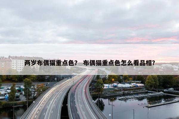 两岁布偶猫重点色？ 布偶猫重点色怎么看品相？