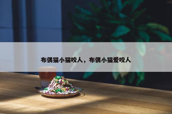 布偶猫小猫咬人，布偶小猫爱咬人
