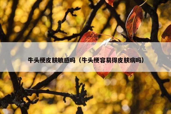牛头梗皮肤敏感吗（牛头梗容易得皮肤病吗）