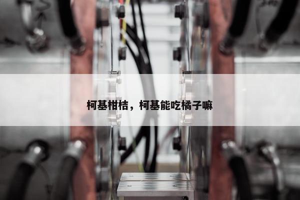 柯基柑桔，柯基能吃橘子嘛