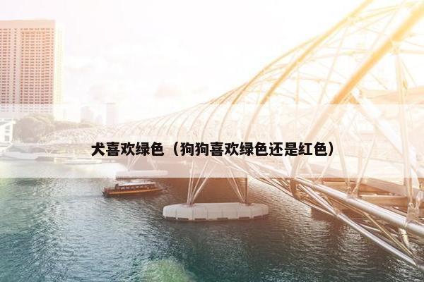 犬喜欢绿色（狗狗喜欢绿色还是红色）