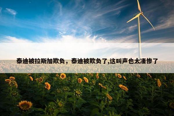 泰迪被拉斯加欺负，泰迪被欺负了,这叫声也太凄惨了