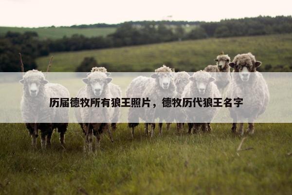 历届德牧所有狼王照片，德牧历代狼王名字