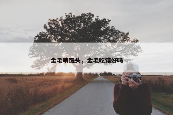 金毛啃馒头，金毛吃馍好吗