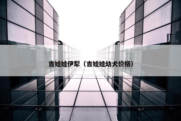 吉娃娃伊犁（吉娃娃幼犬价格）