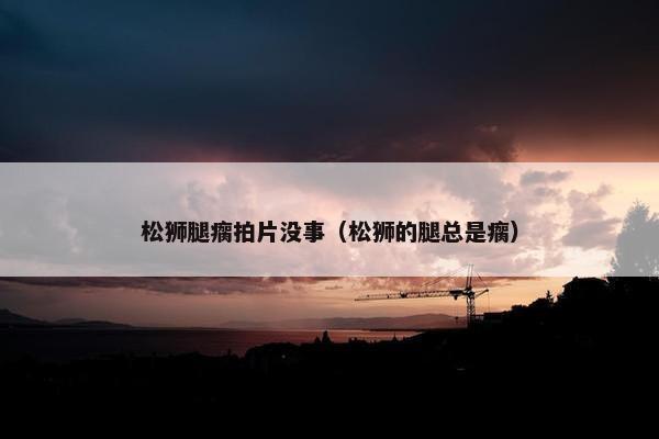 松狮腿瘸拍片没事（松狮的腿总是瘸）