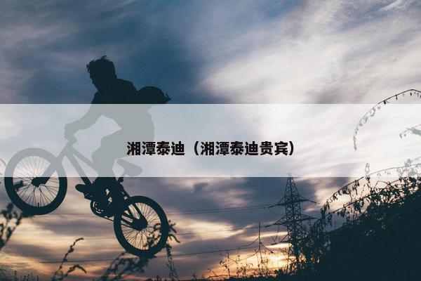 湘潭泰迪（湘潭泰迪贵宾）