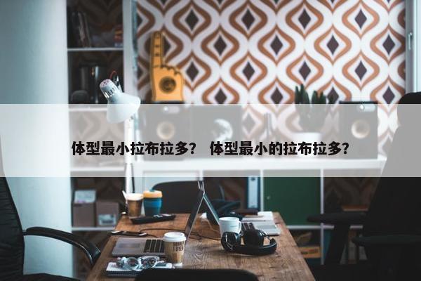 体型最小拉布拉多？ 体型最小的拉布拉多？