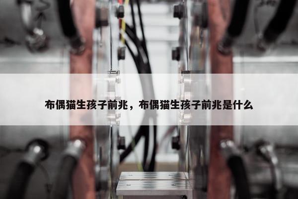 布偶猫生孩子前兆，布偶猫生孩子前兆是什么